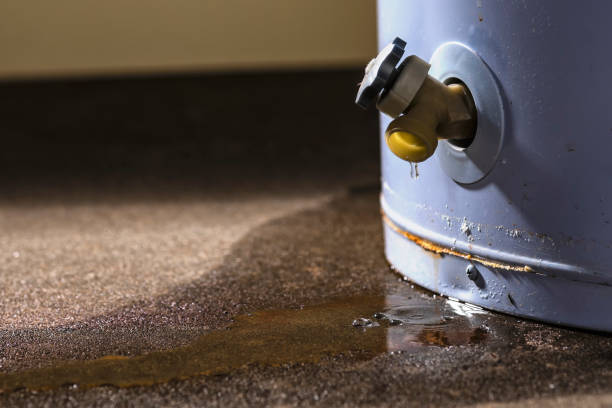 Best Sewage cleanup and water damage restoration  in Riverdale, CA
