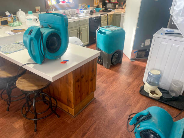 Best Water damage restoration near me  in Riverdale, CA