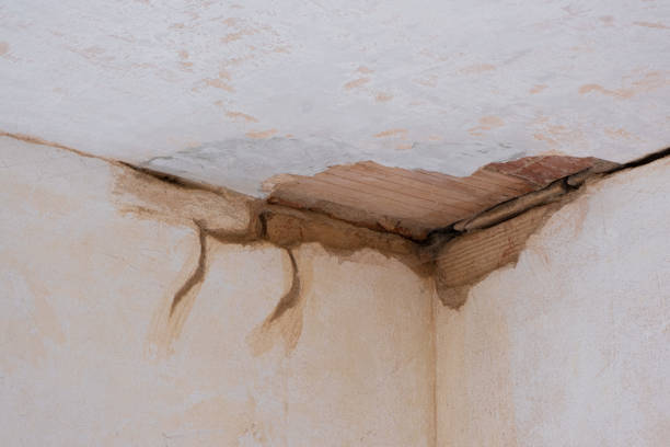 Best 24-hour water damage restoration  in Riverdale, CA