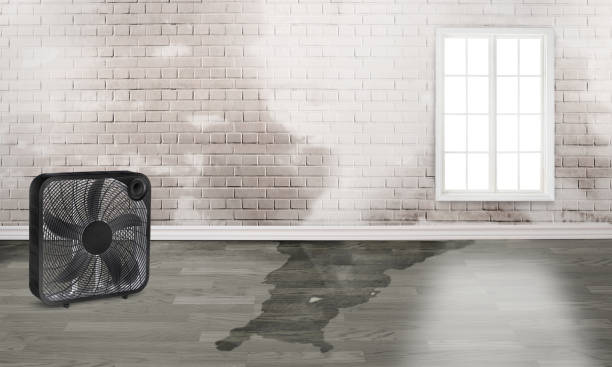 Best Professional water damage repair  in Riverdale, CA