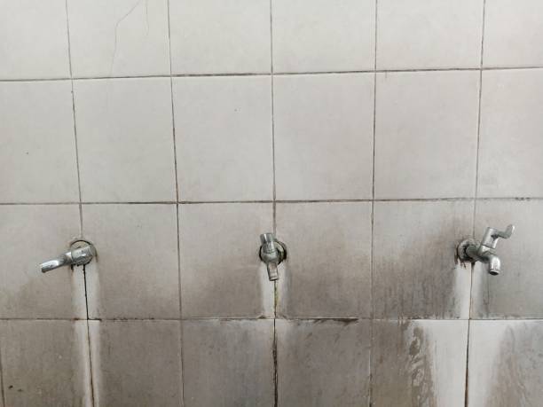 Best Flood damage cleanup  in Riverdale, CA